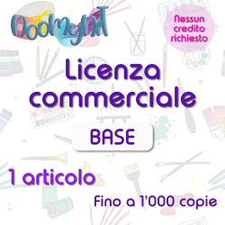 LICENZA COMMERCIALE